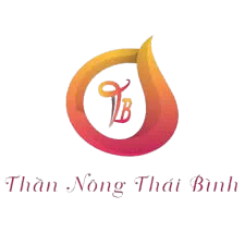 PHỤ TÙNG XE CƠ GIỚI 